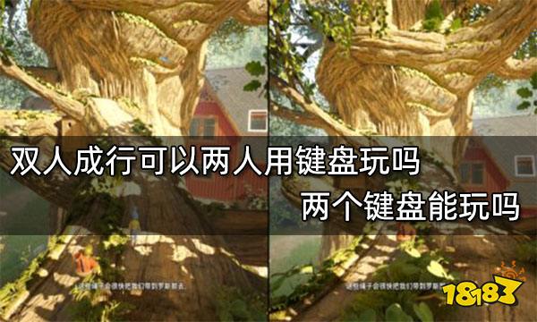 双人成行可以两人用键盘玩吗 两个键盘能玩吗