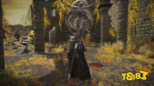 艾尔登法环艾琉诺拉双头剑如何获得 艾尔登法环艾琉诺拉双头剑获取攻略