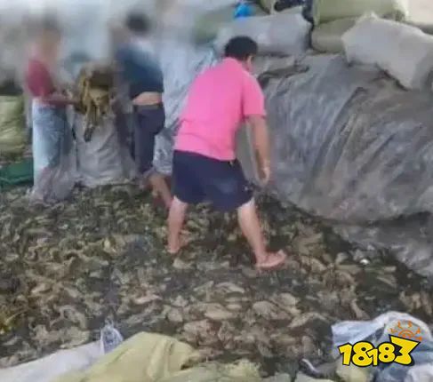 海外狂赚18亿，国内差评如潮，「蜘蛛侠3」究竟差在哪？