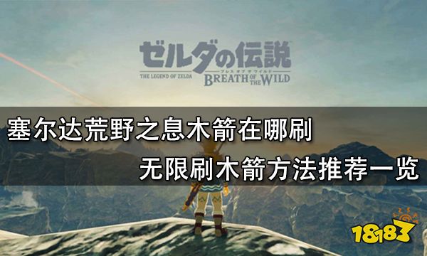 塞尔达荒野之息木箭在哪刷 无限刷木箭方法推荐一览