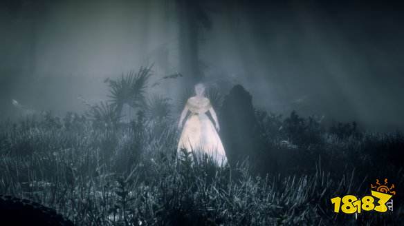 荒野大镖客2沼泽女鬼在哪里 沼泽女鬼位置介绍