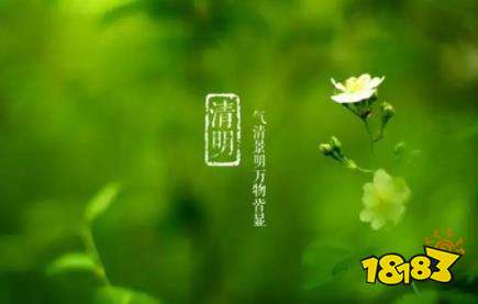 小学生清明节作文怎么写 500字清明节作文范文参考