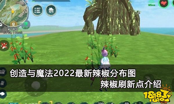 创造与魔法2022最新辣椒分布图 辣椒刷新点介绍