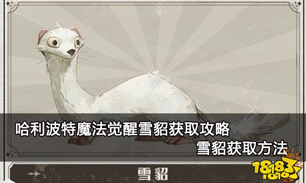 哈利波特魔法觉醒雪貂获取攻略 雪貂获取方法