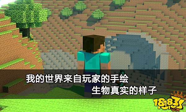 我的世界来自玩家的手绘 生物真实的样子