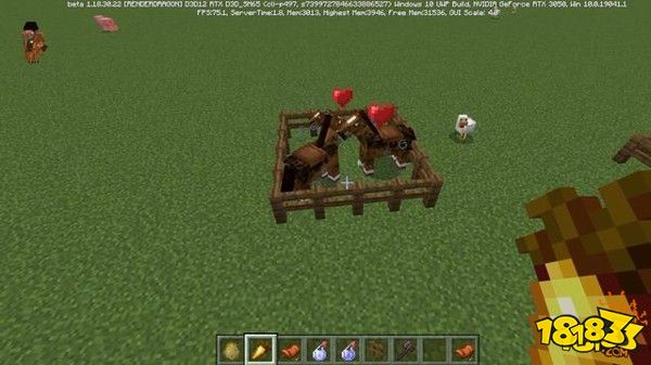 我的世界用缓慢药水 进行基因负面优化得到龟速马