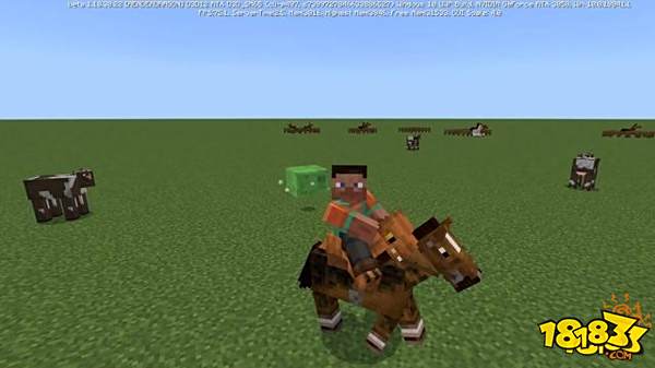 我的世界用缓慢药水 进行基因负面优化得到龟速马