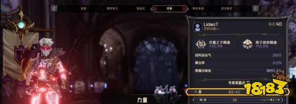 小緹娜的奇幻之地荒野游墓人怎么玩 荒野游墓人加點及配裝推薦