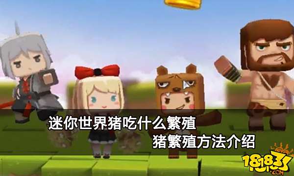 迷你世界猪吃什么繁殖 猪繁殖方法介绍