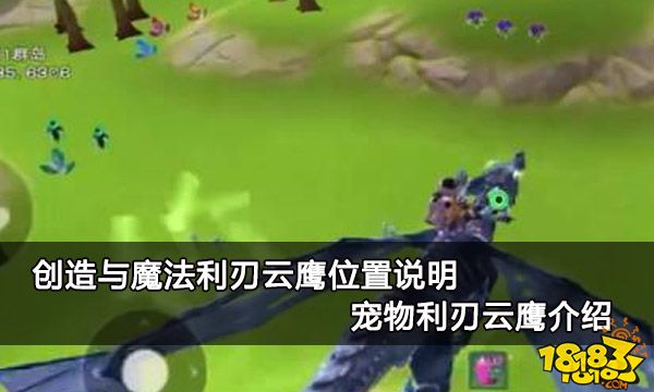 创造与魔法利刃云鹰位置说明 宠物利刃云鹰介绍