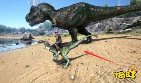 方舟生存进化强训代码是多少 强训代码介绍