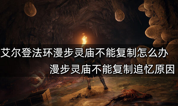 艾尔登法环漫步灵庙不能复制怎么办 漫步灵庙不能复制追忆原因