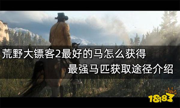 荒野大镖客2最好的马怎么获得 最强马匹获取途径介绍