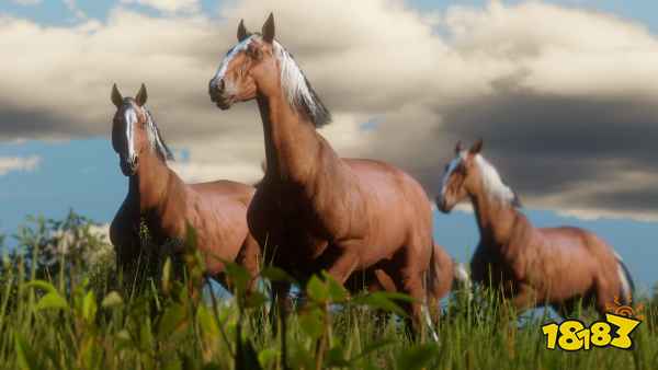 荒野大镖客2终极版和标准版有什么 推荐购买哪个版本