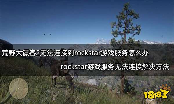 荒野大镖客2无法连接到rockstar游戏服务怎么办 rockstar游戏服务无法连接解决方法