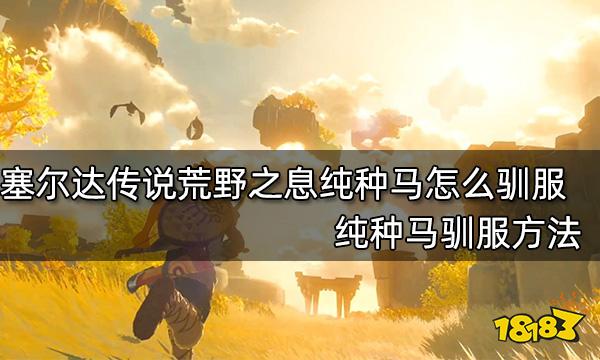 塞尔达传说荒野之息纯种马怎么驯服 纯种马驯服方法