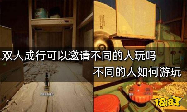 双人成行可以邀请不同的人玩吗 不同的人如何游玩