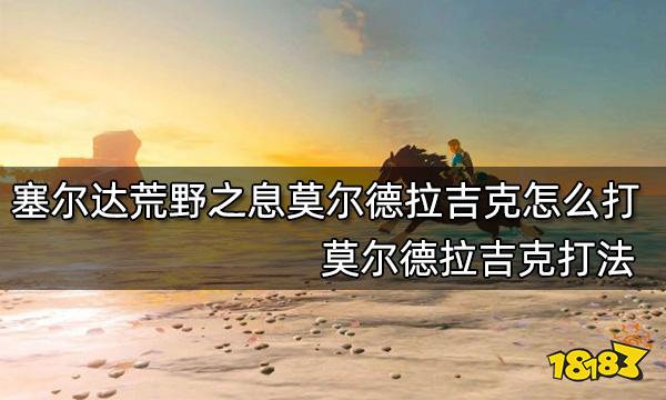 塞尔达传说荒野之息莫尔德拉吉克怎么打 莫尔德拉吉克打法