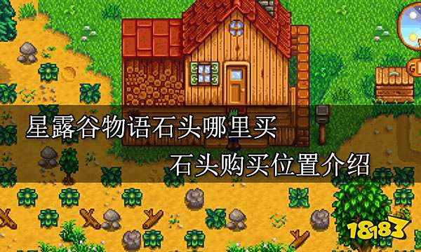 星露谷物语石头哪里买 石头购买位置介绍
