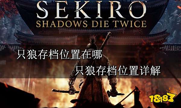 只狼存档位置在哪 只狼存档位置详解