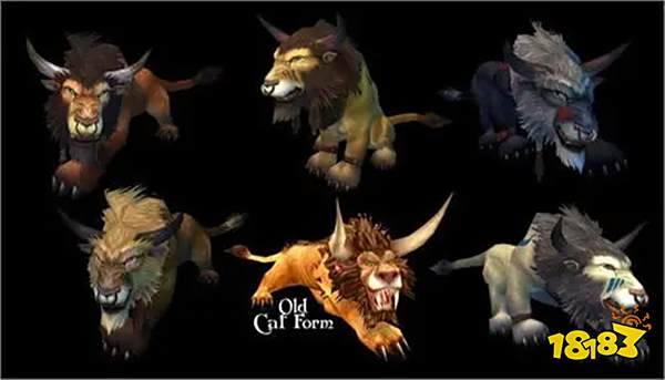 魔兽世界TBC怀旧服猫德宏有哪些 怀旧服猫德宏推荐