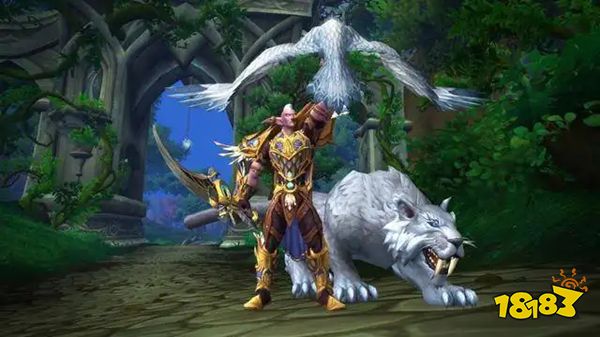 魔兽世界TBC怀旧服近战猎人怎么玩 怀旧服近战猎人攻略