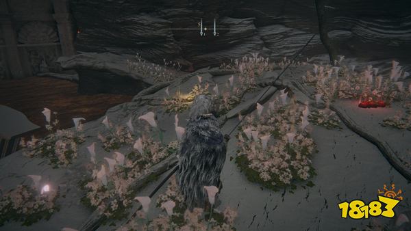 艾尔登法环米凯拉的金针怎么获得 金针获取及使用方法介绍