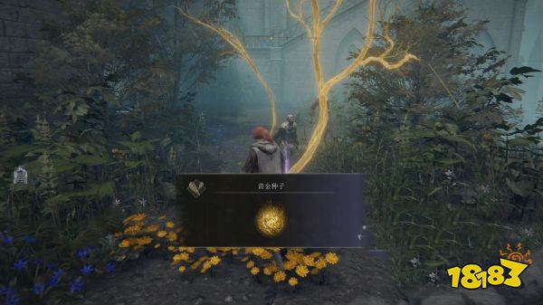 艾尔登法环魔法学院全收集攻略 魔法学院探索路线介绍