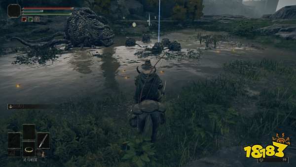 艾尔登法环黄金鸟爪怎么获得 黄金鸟爪材料获取攻略