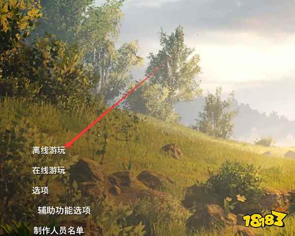 双人成行怎么调成单人视角 调成单人视角方法