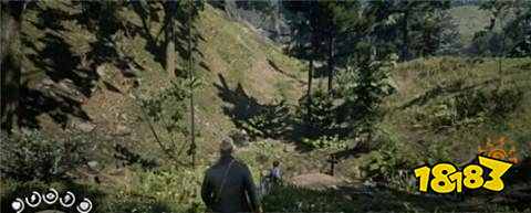 荒野大镖客2如何完成任务寡妇 寡妇任务完成步骤详解