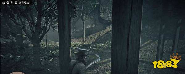 荒野大镖客2如何完成任务毋须宽恕 毋须宽恕任务攻略