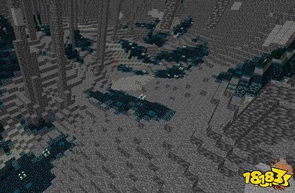 我的世界古城怎么找 深黯古城位置介绍