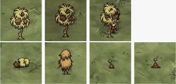 饥荒石果什么用 石果作用介绍