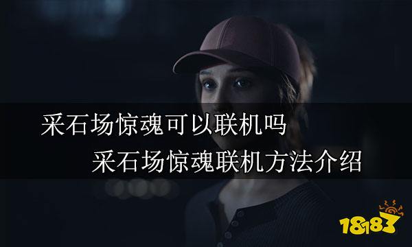 采石场惊魂可以联机吗 采石场惊魂联机方法介绍