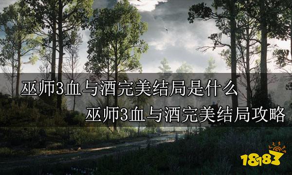 巫师3血与酒完美结局是什么 巫师3血与酒完美结局攻略