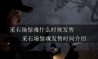 采石场惊魂什么时候发售 采石场惊魂发售时间介绍