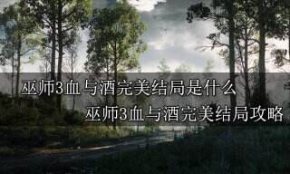 巫师3血与酒完美结局是什么 巫师3血与酒完美结局攻略