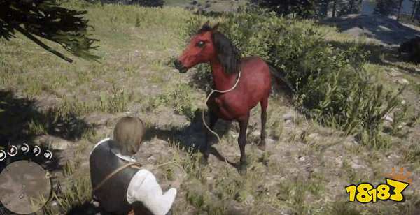 荒野大镖客2玫瑰阿拉伯马在哪 玫瑰阿拉伯马位置介绍