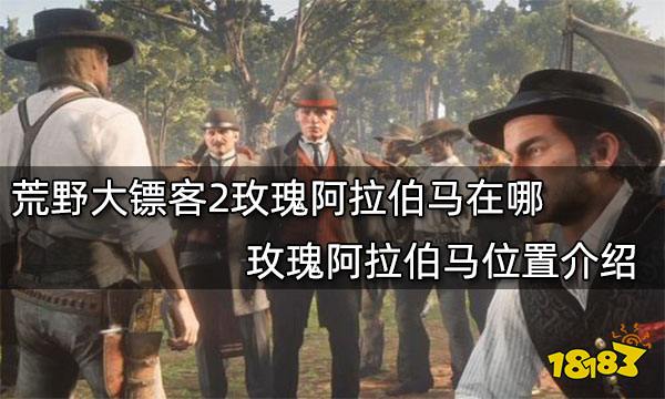 荒野大镖客2玫瑰阿拉伯马在哪 玫瑰阿拉伯马位置介绍