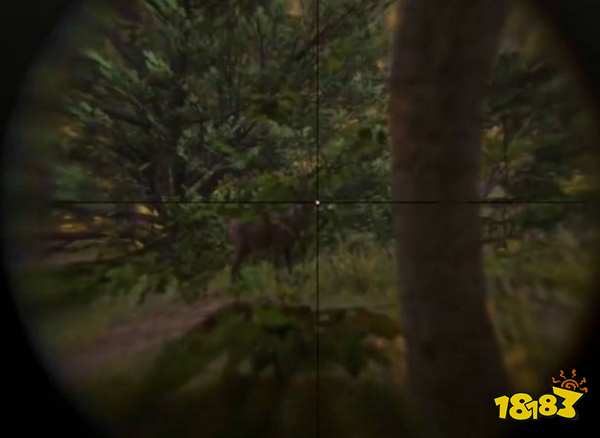 荒野大镖客2鹿皮在哪打 鹿皮获取位置