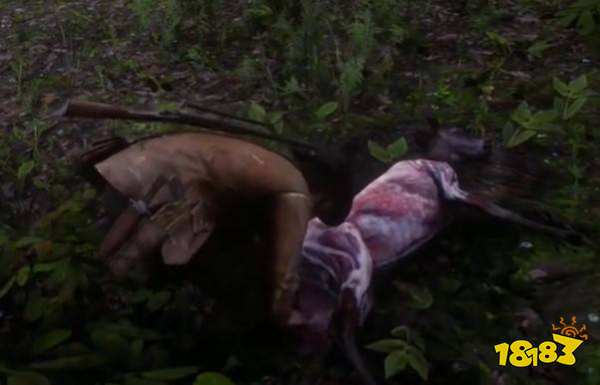 荒野大镖客2鹿皮在哪打 鹿皮获取位置