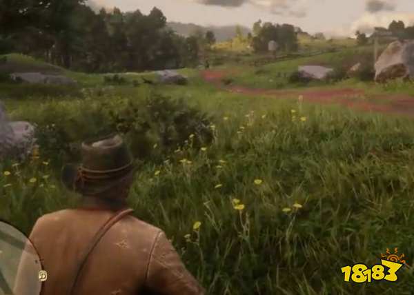 荒野大镖客2鹿皮在哪打 鹿皮获取位置