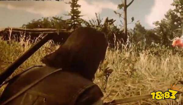 荒野大镖客2背包升级材料是什么 背包升级材料怎么获得