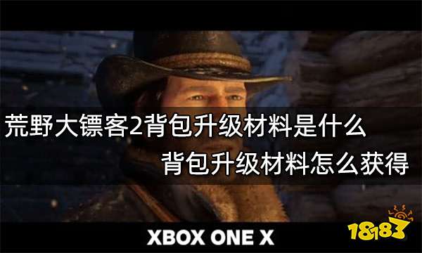 荒野大镖客2背包升级材料是什么 背包升级材料怎么获得