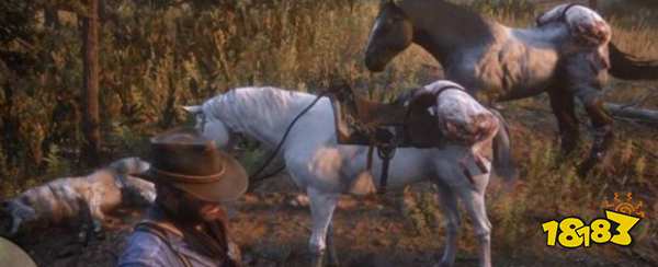 荒野大镖客2传说动物皮毛丢了怎么办 动物皮毛弄丢了解决方法