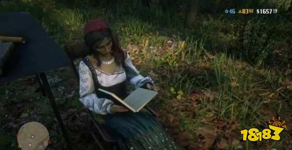 荒野大镖客2收藏家夫人在哪 收藏家夫人位置介绍