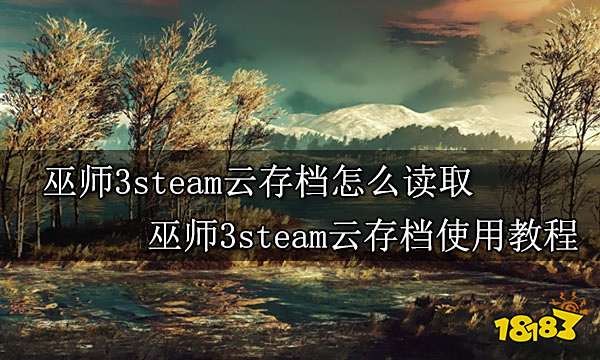 巫师3steam云存档怎么读取 巫师3steam云存档使用教程