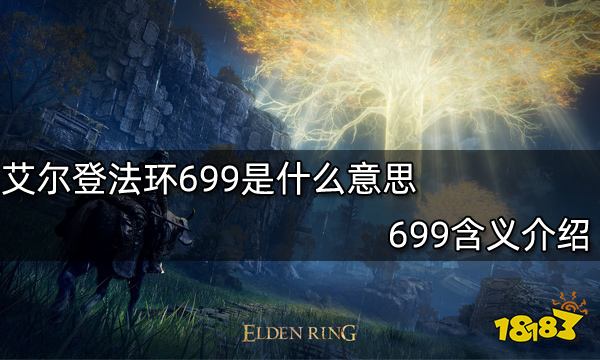 艾尔登法环699是什么意思 699含义介绍