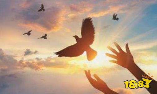 各省2022年高考加分项目汇总 2022高考加分政策有哪些